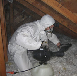 mold remediation services in Ellenwood, GA